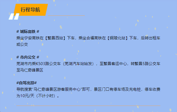 午夜熟女插插XX免费视频