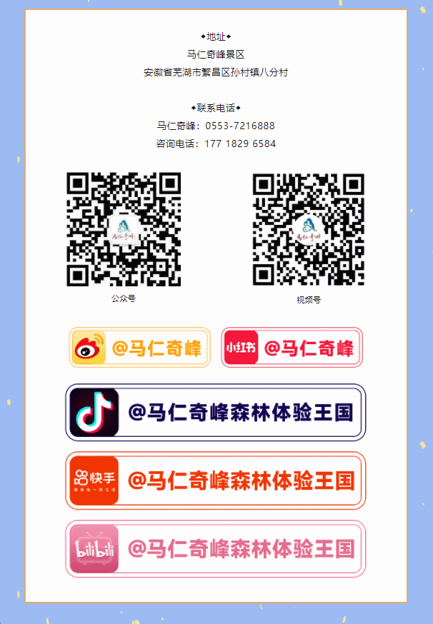 午夜熟女插插XX免费视频