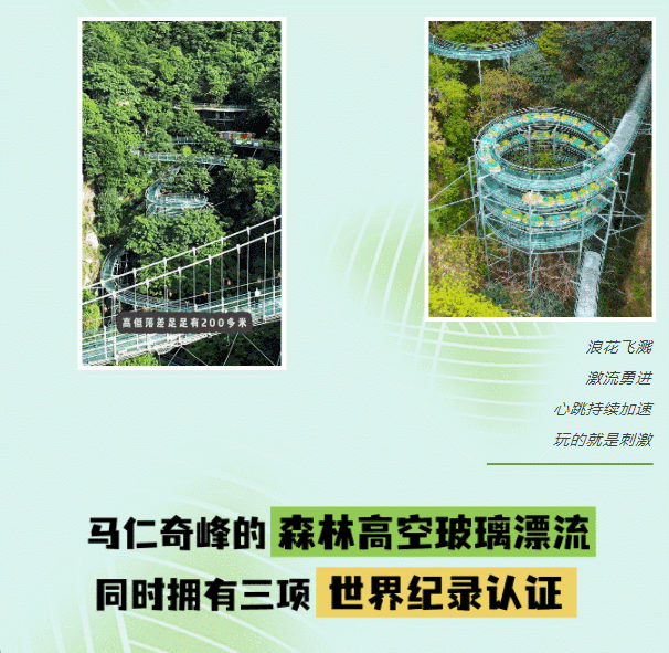 午夜熟女插插XX免费视频