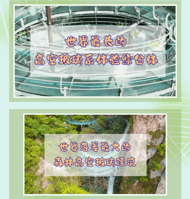 午夜熟女插插XX免费视频