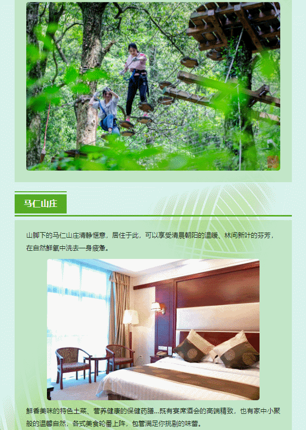 午夜熟女插插XX免费视频