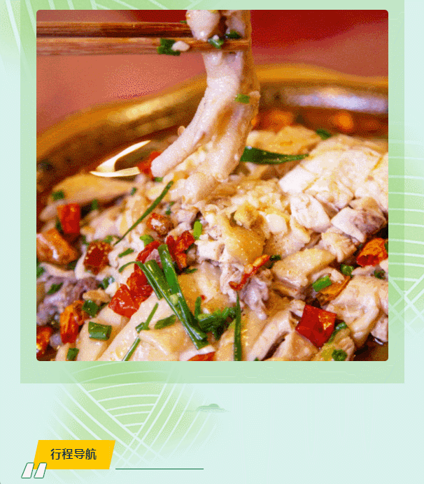 午夜熟女插插XX免费视频