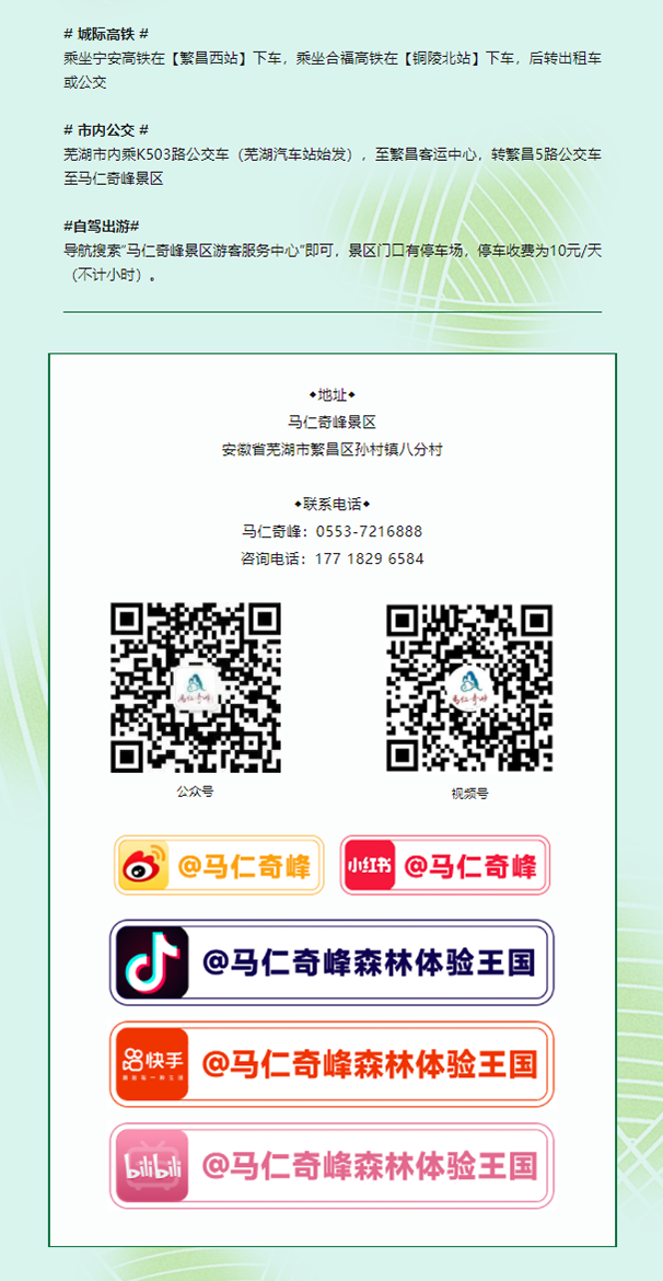 午夜熟女插插XX免费视频