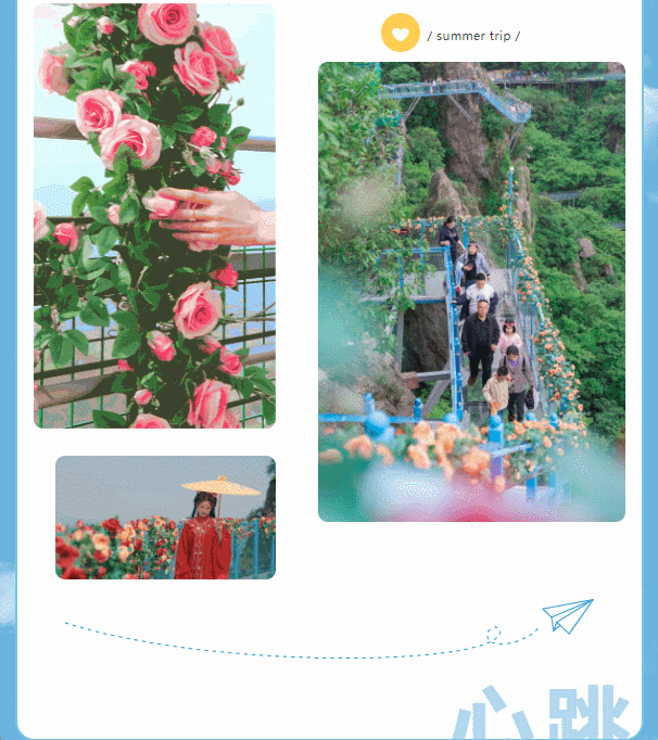 午夜熟女插插XX免费视频