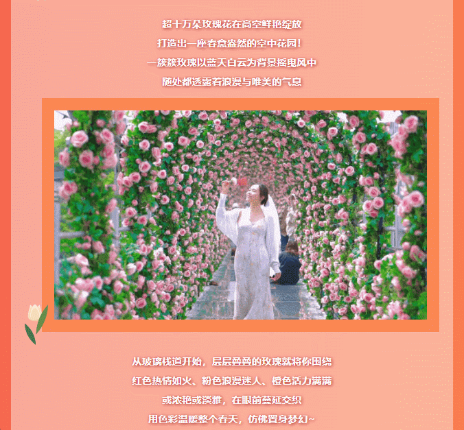 午夜熟女插插XX免费视频