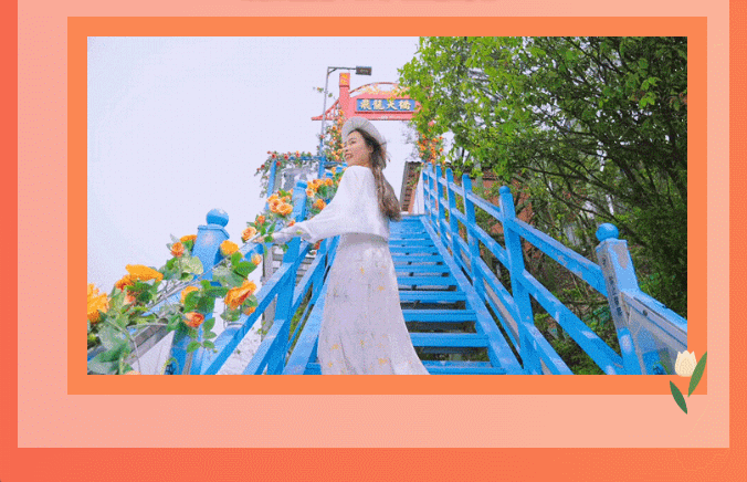 午夜熟女插插XX免费视频