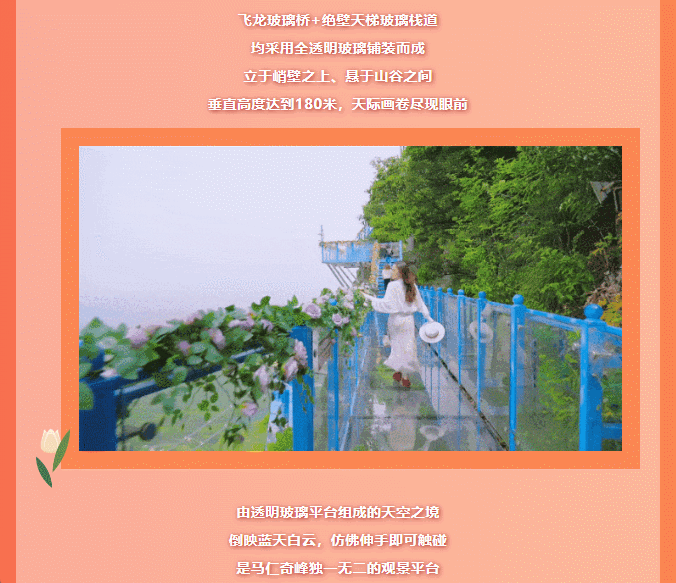 午夜熟女插插XX免费视频