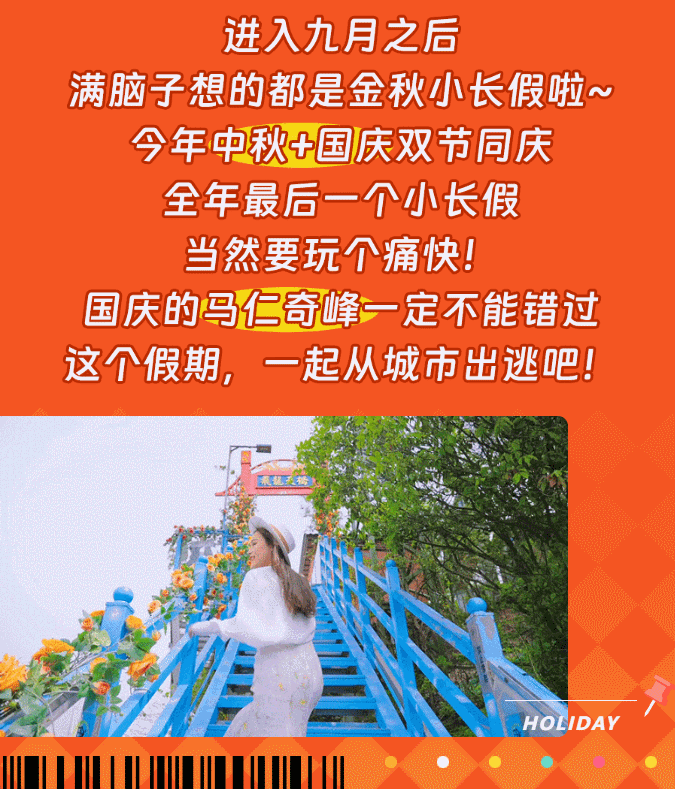 午夜熟女插插XX免费视频