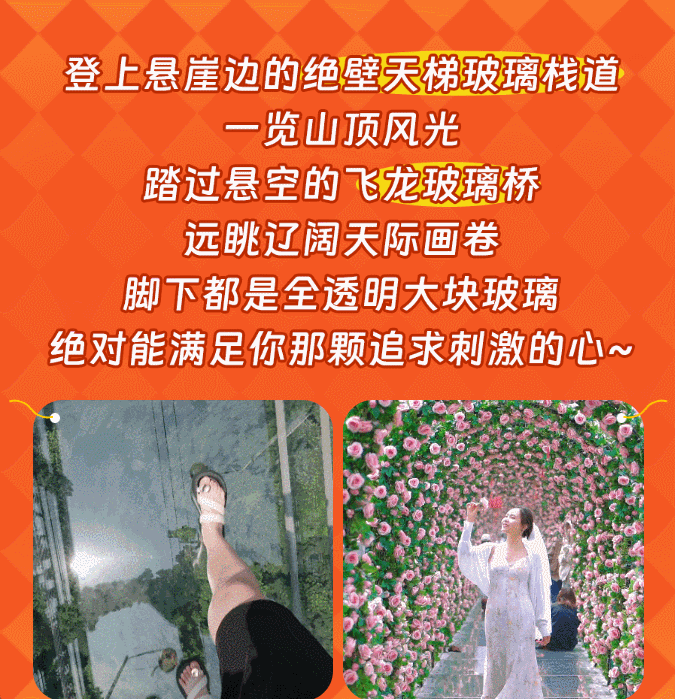 午夜熟女插插XX免费视频