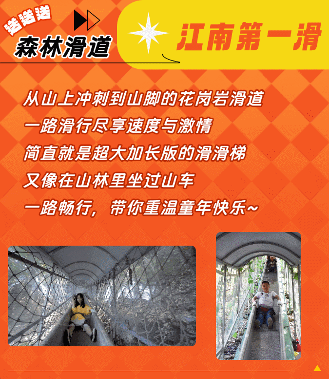 午夜熟女插插XX免费视频