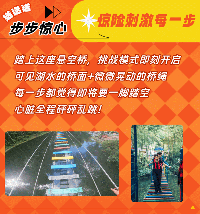 午夜熟女插插XX免费视频