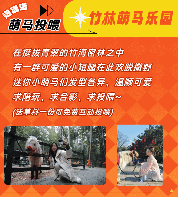 午夜熟女插插XX免费视频