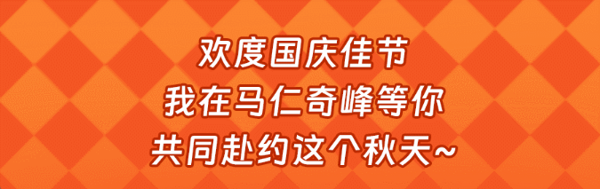 午夜熟女插插XX免费视频