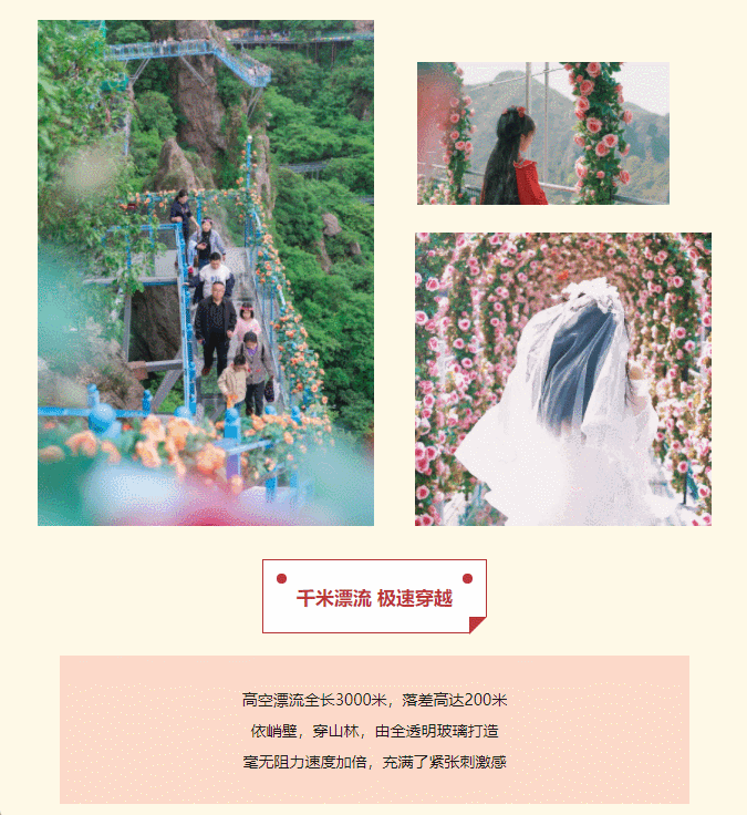 午夜熟女插插XX免费视频