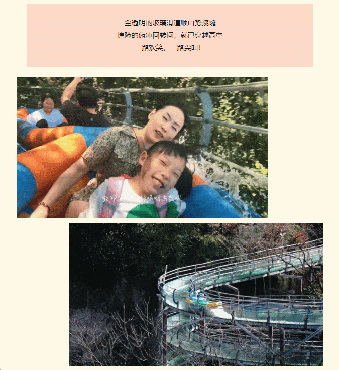 午夜熟女插插XX免费视频