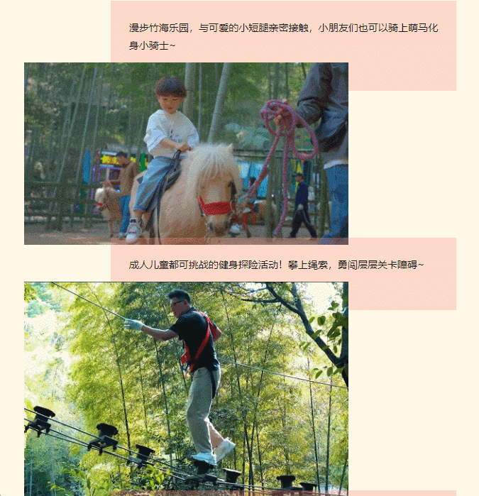 午夜熟女插插XX免费视频