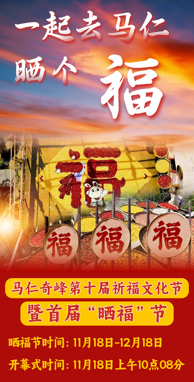 午夜熟女插插XX免费视频