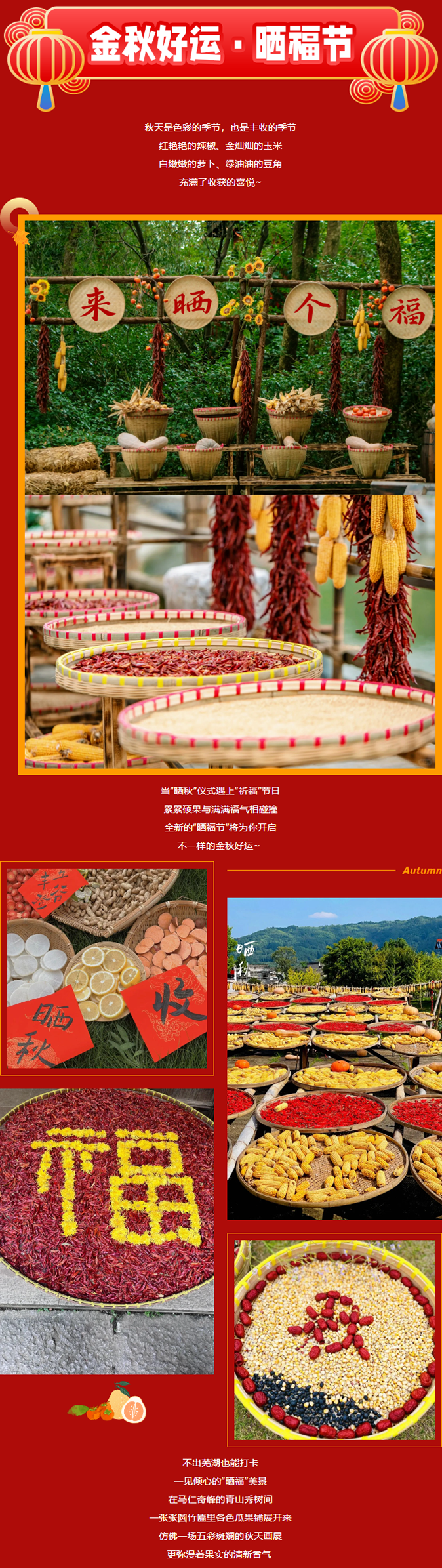 午夜熟女插插XX免费视频