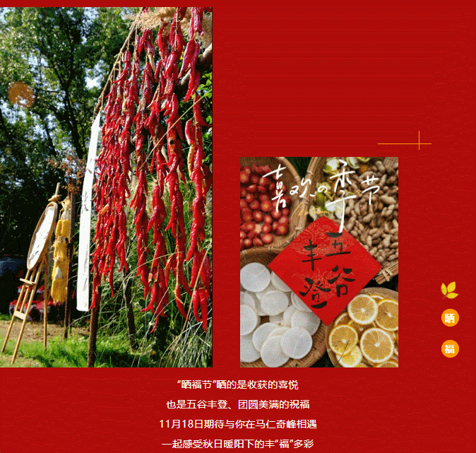 午夜熟女插插XX免费视频