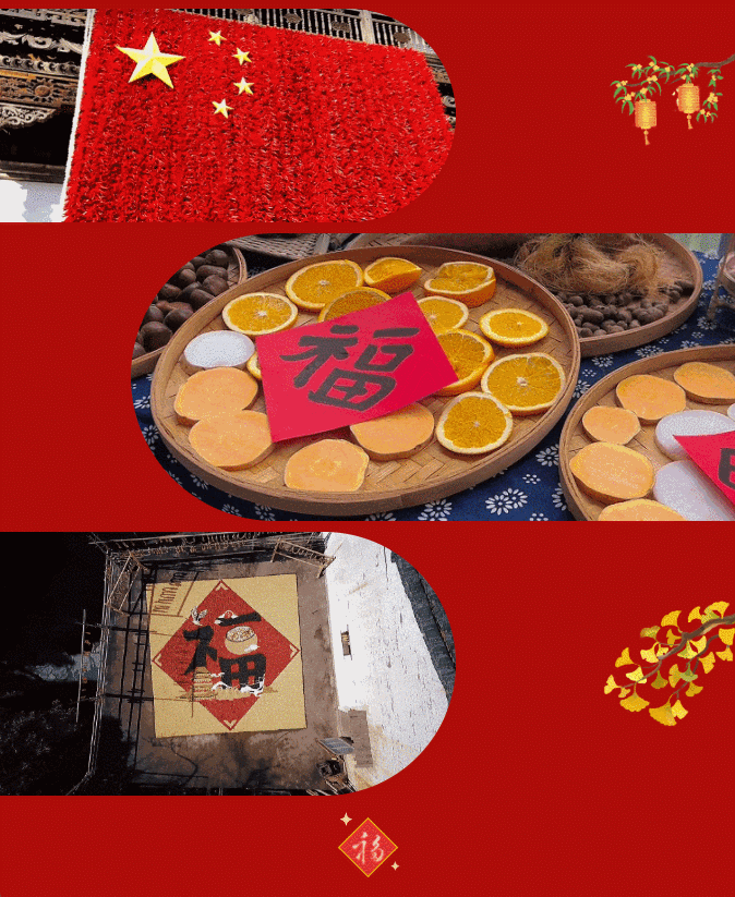 午夜熟女插插XX免费视频