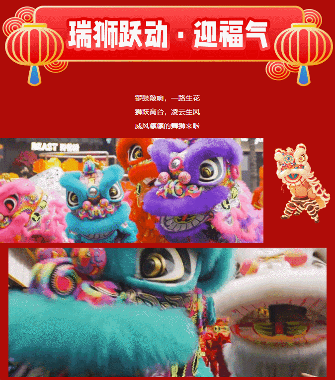 午夜熟女插插XX免费视频