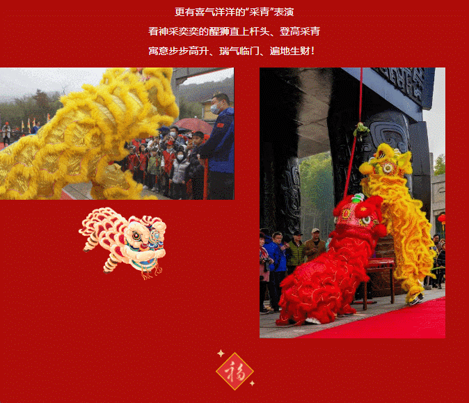 午夜熟女插插XX免费视频