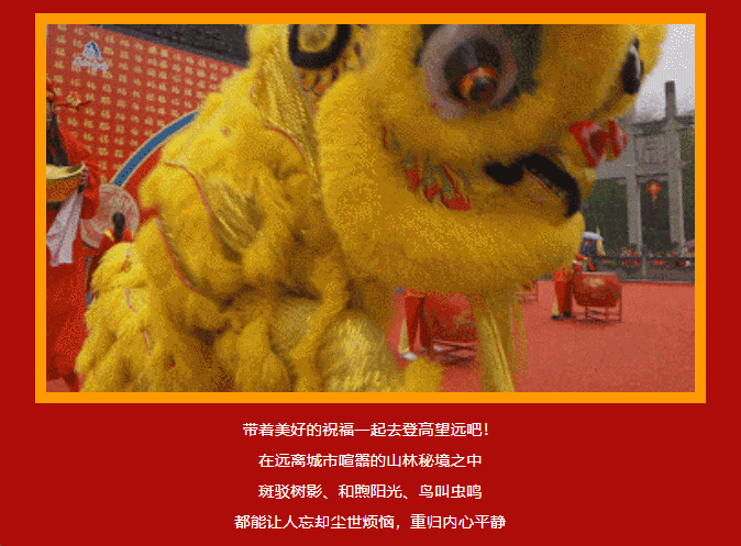 午夜熟女插插XX免费视频