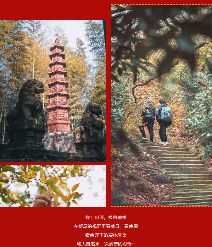 午夜熟女插插XX免费视频