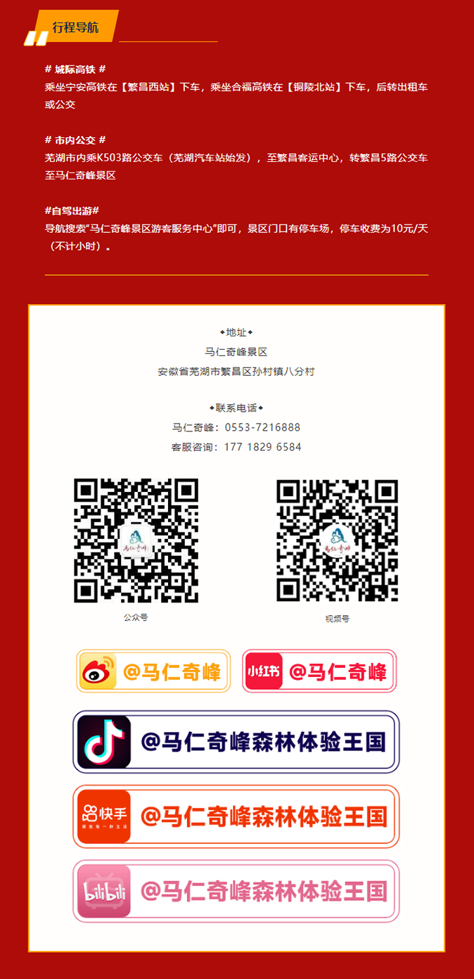 午夜熟女插插XX免费视频