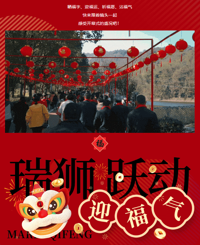 午夜熟女插插XX免费视频