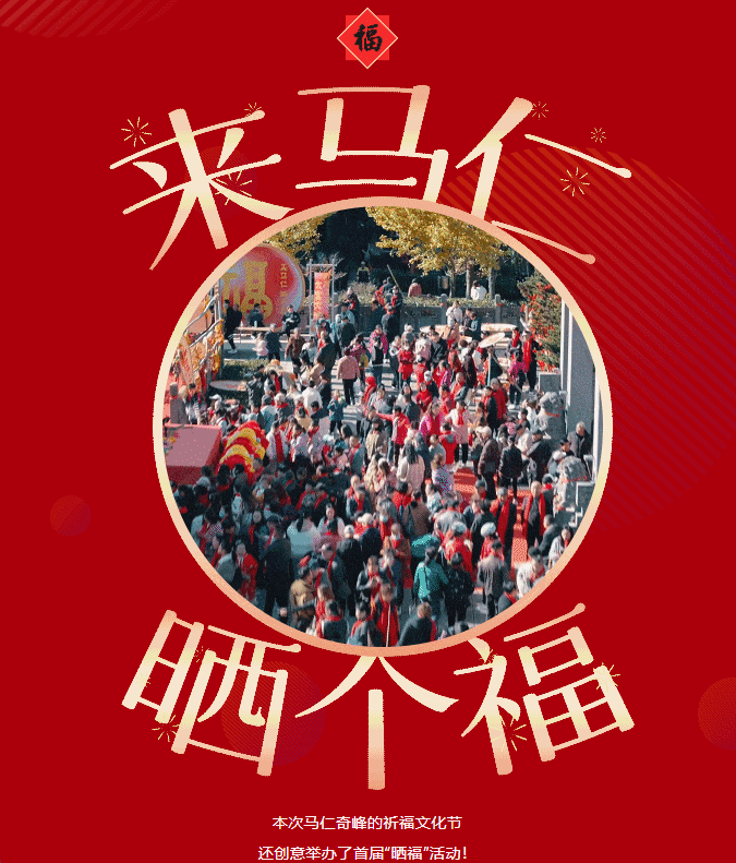 午夜熟女插插XX免费视频