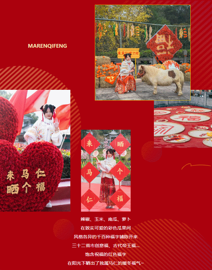 午夜熟女插插XX免费视频