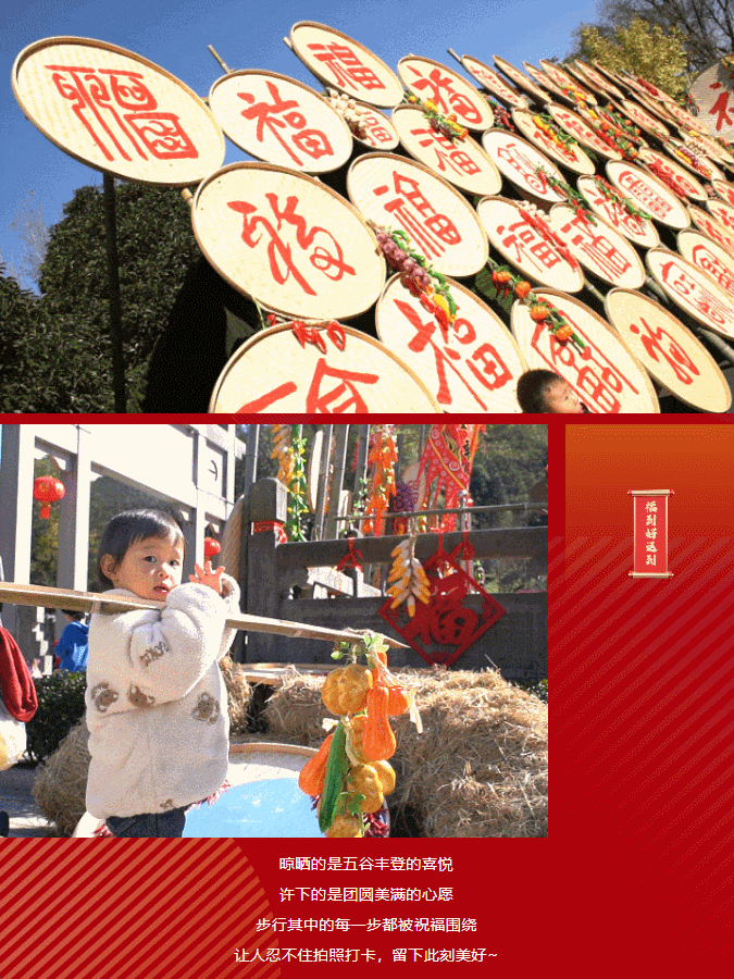 午夜熟女插插XX免费视频