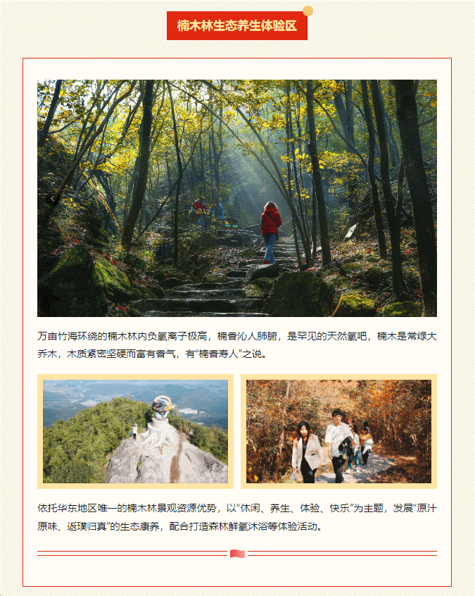 午夜熟女插插XX免费视频