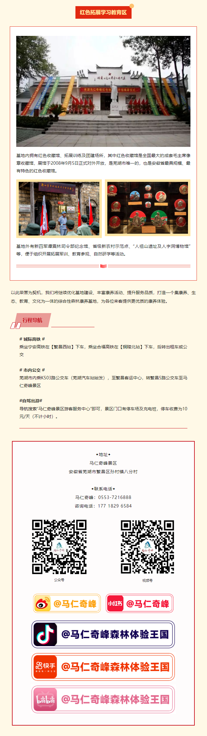 午夜熟女插插XX免费视频