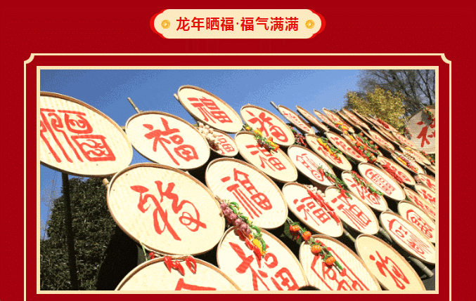 午夜熟女插插XX免费视频