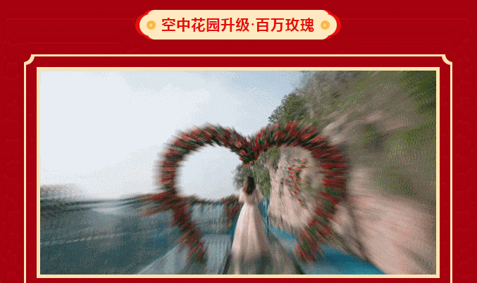 午夜熟女插插XX免费视频