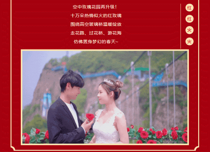 午夜熟女插插XX免费视频