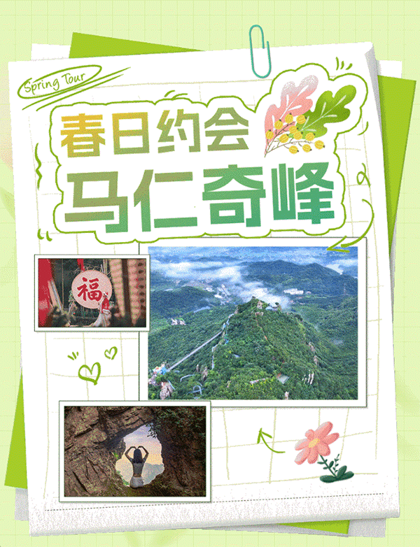 午夜熟女插插XX免费视频