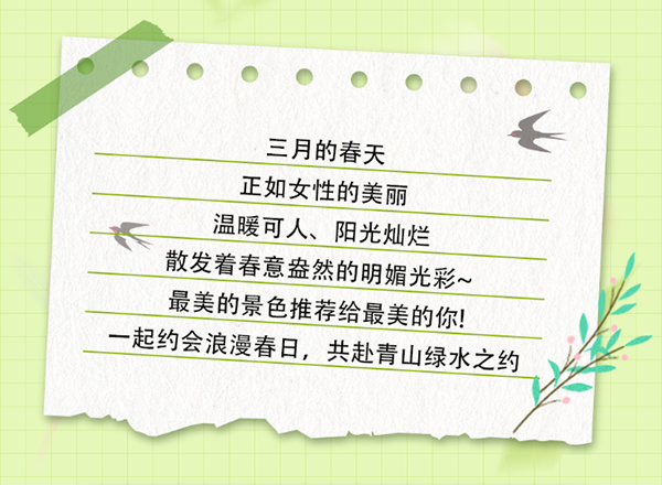 午夜熟女插插XX免费视频