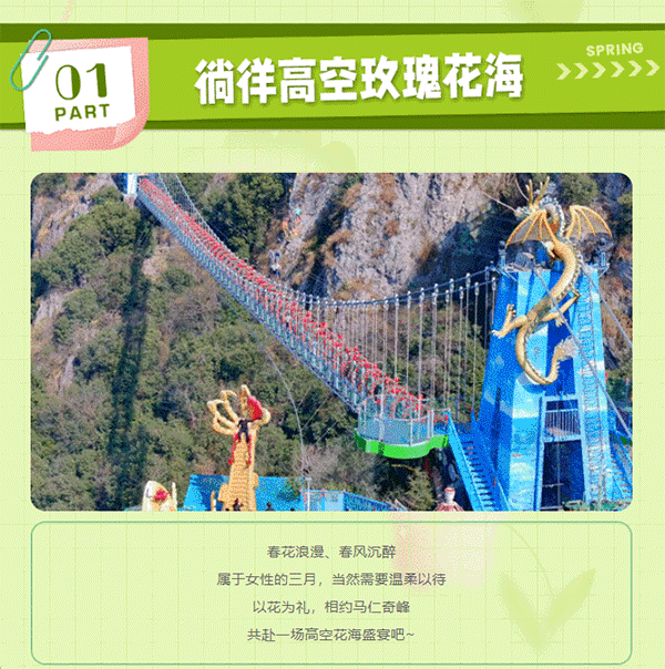 午夜熟女插插XX免费视频