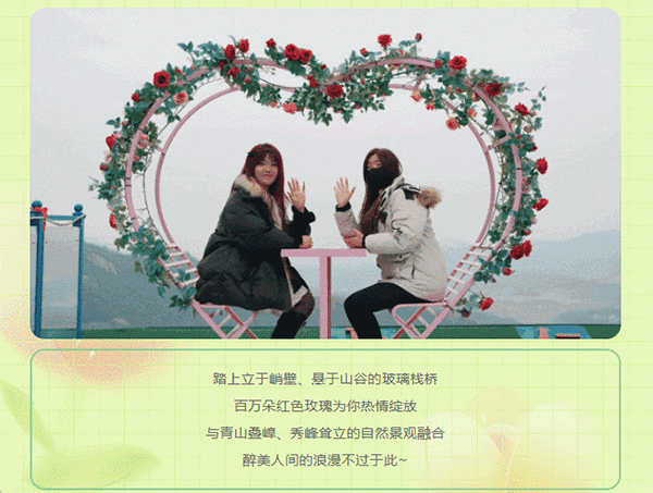 午夜熟女插插XX免费视频