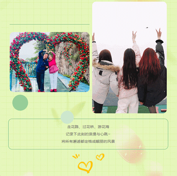 午夜熟女插插XX免费视频