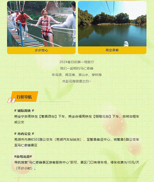 午夜熟女插插XX免费视频