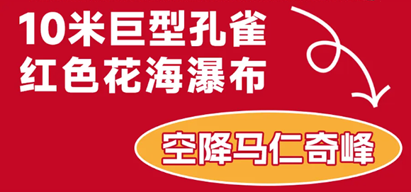 午夜熟女插插XX免费视频