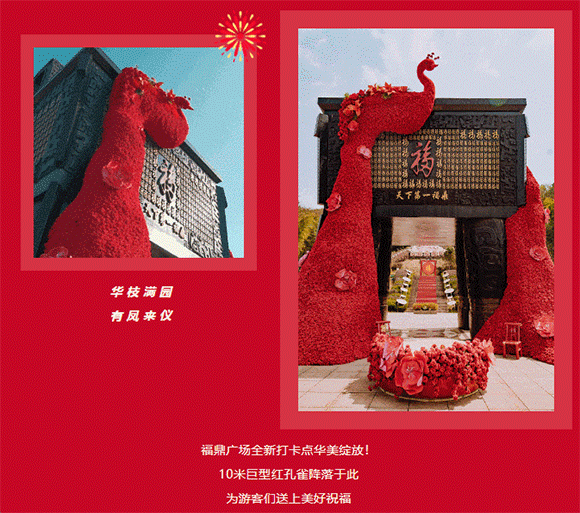 午夜熟女插插XX免费视频