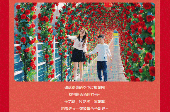 午夜熟女插插XX免费视频