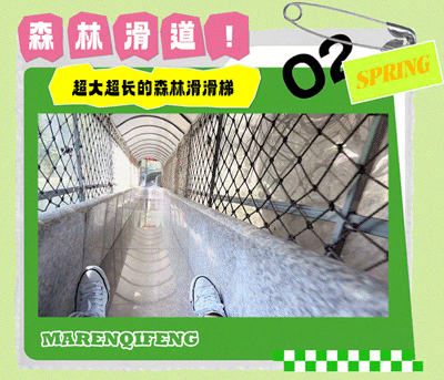 午夜熟女插插XX免费视频