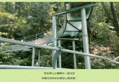 午夜熟女插插XX免费视频