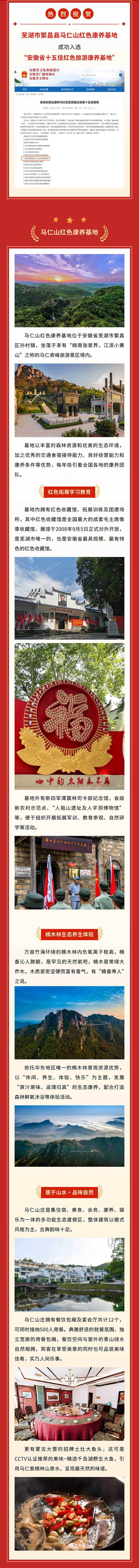 午夜熟女插插XX免费视频